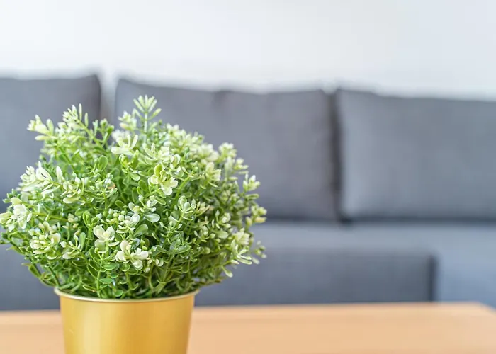 Goldvilla - Wesseling